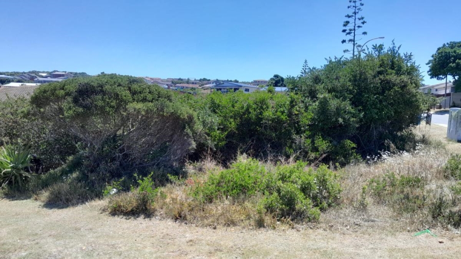 0 Bedroom Property for Sale in Dana Bay Western Cape